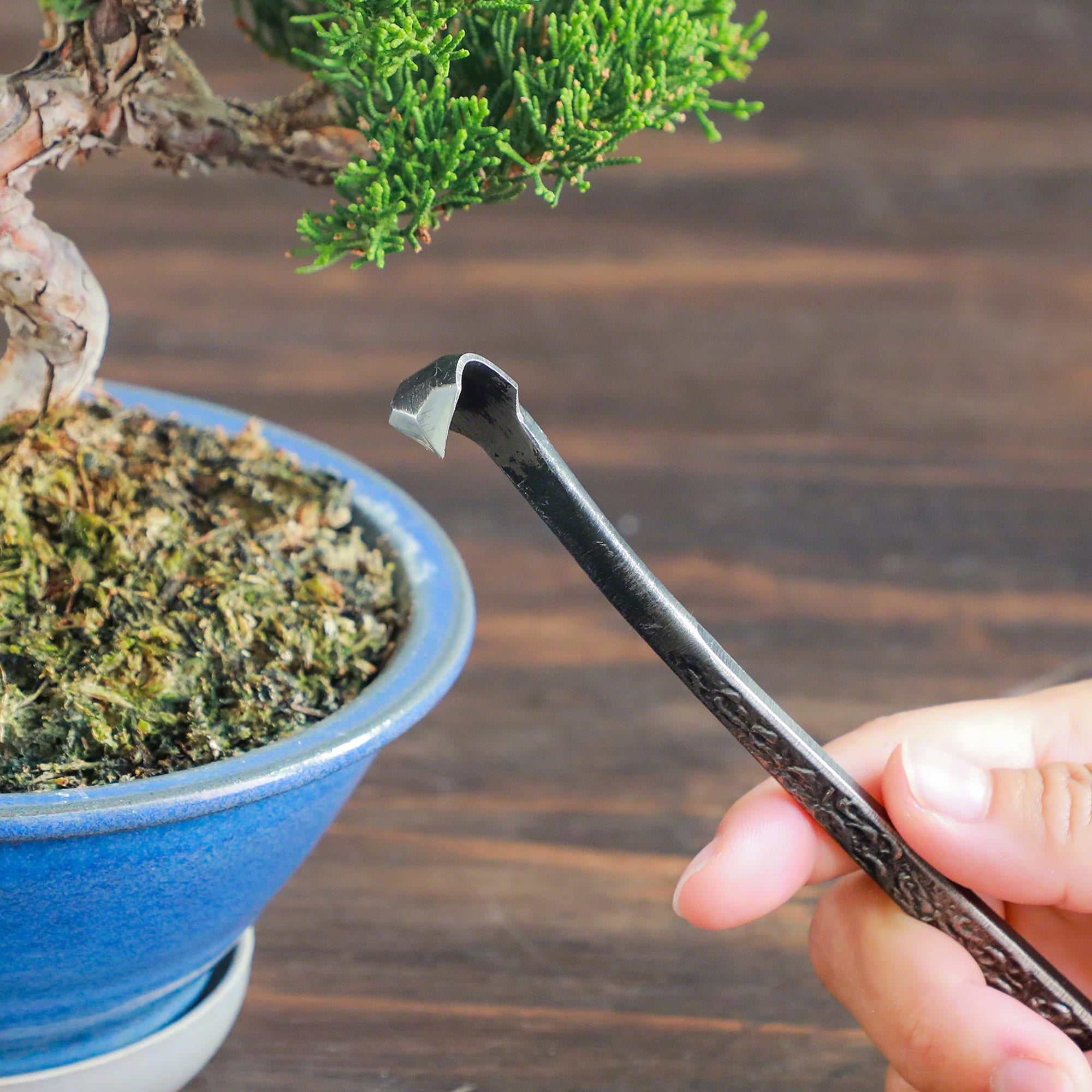 Wazakura Triangular Blade Bonsai Chisel 7.24" (184 mm)