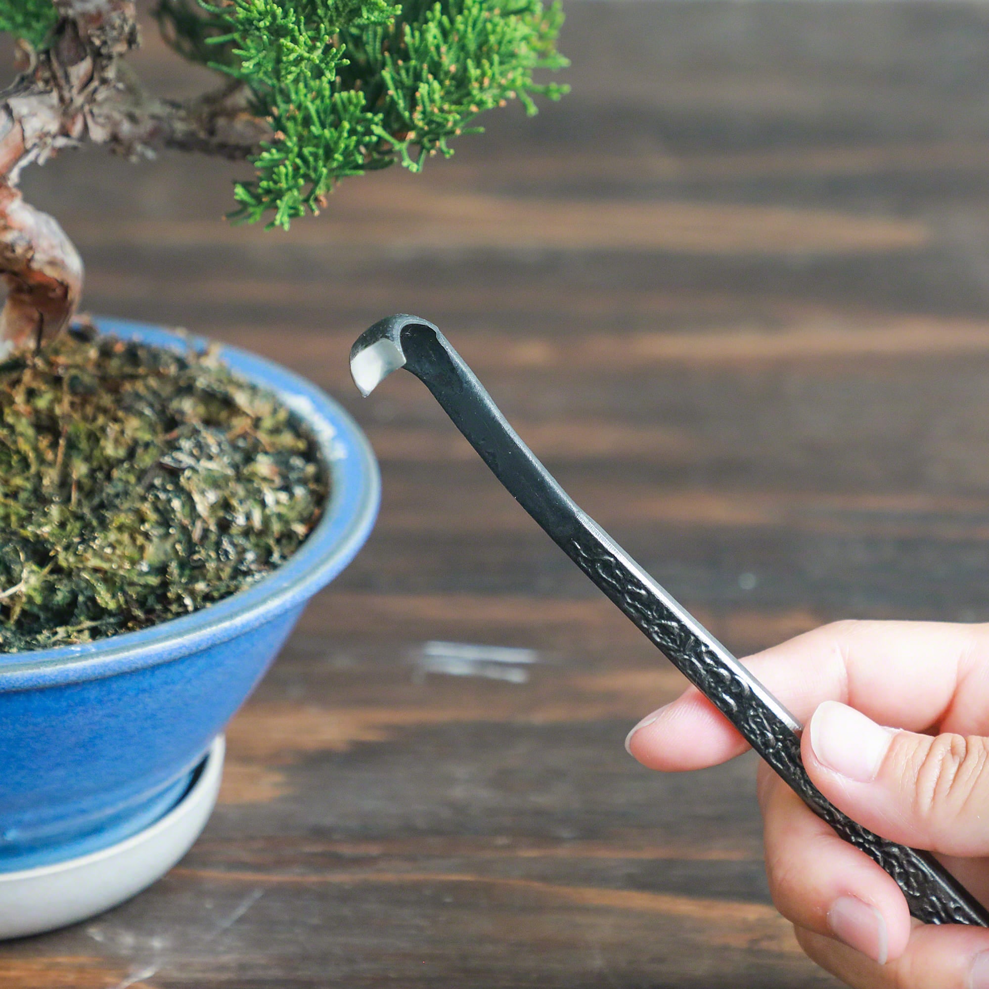 Wazakura Round Blade Gouge Bonsai Chisel 7.4" (187 mm)