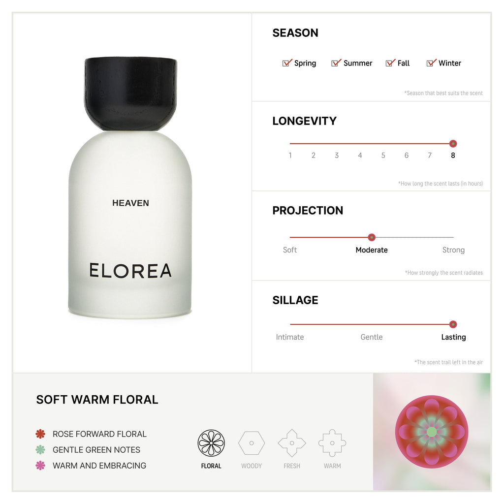 Elorea Floral Discovery Set - view 2
