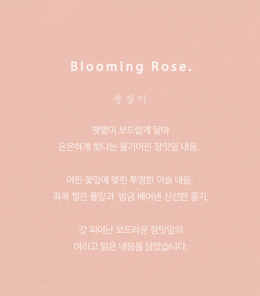Blooming Rose Incense Sticks - view 7