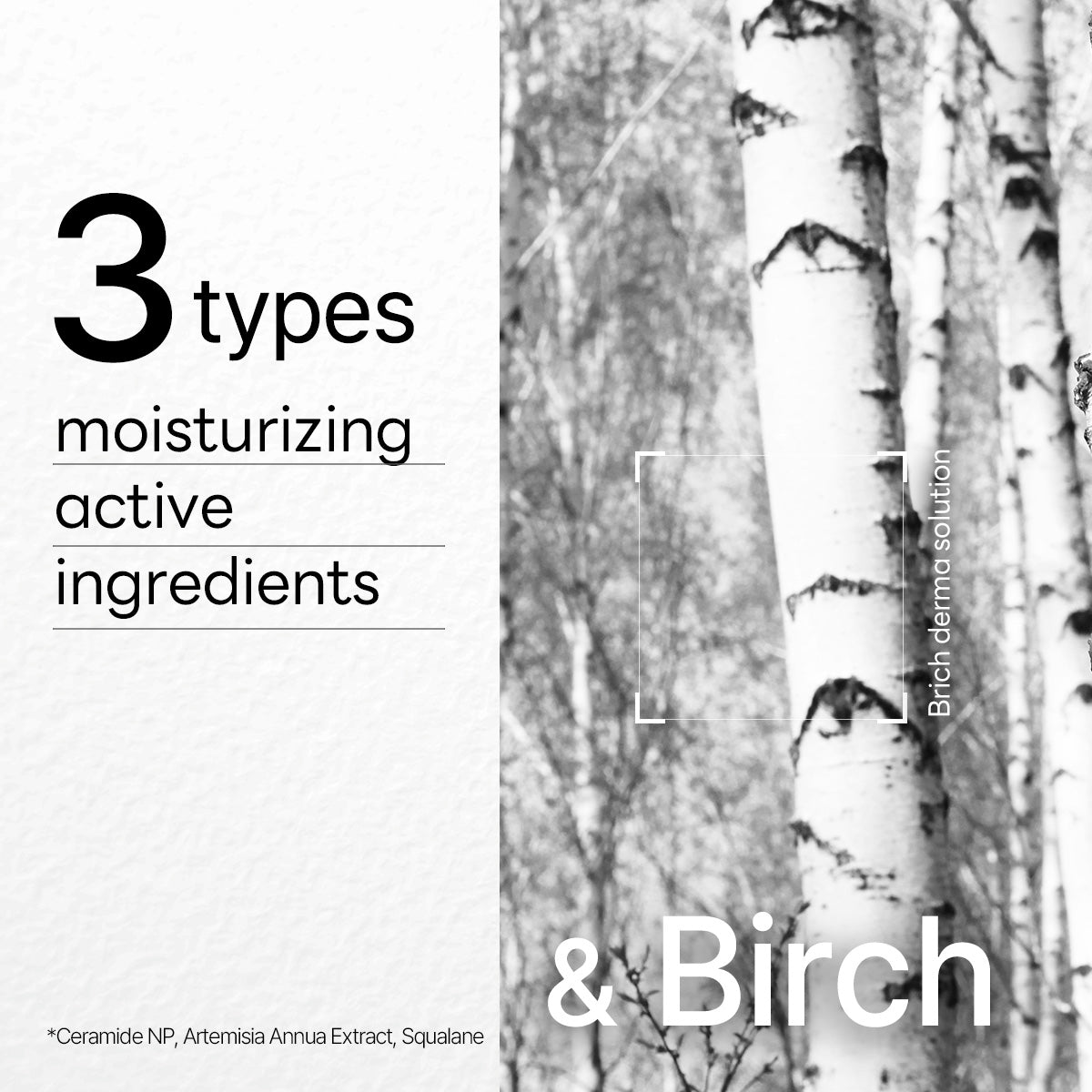 Mediheal Dermaplus Birch Mask - view 5