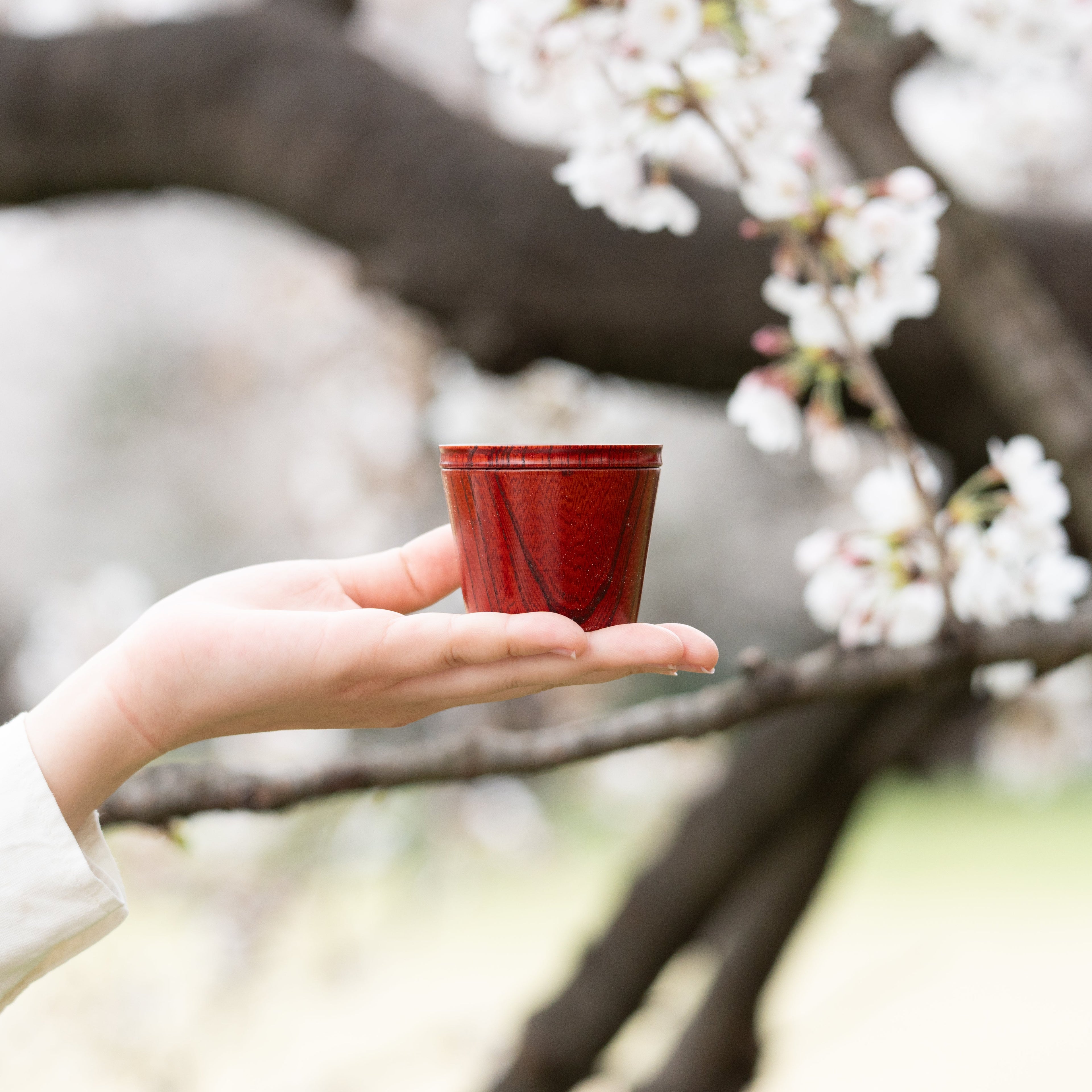 Musubi Kiln Portable Zelkova Guinomi Sake Cup Set