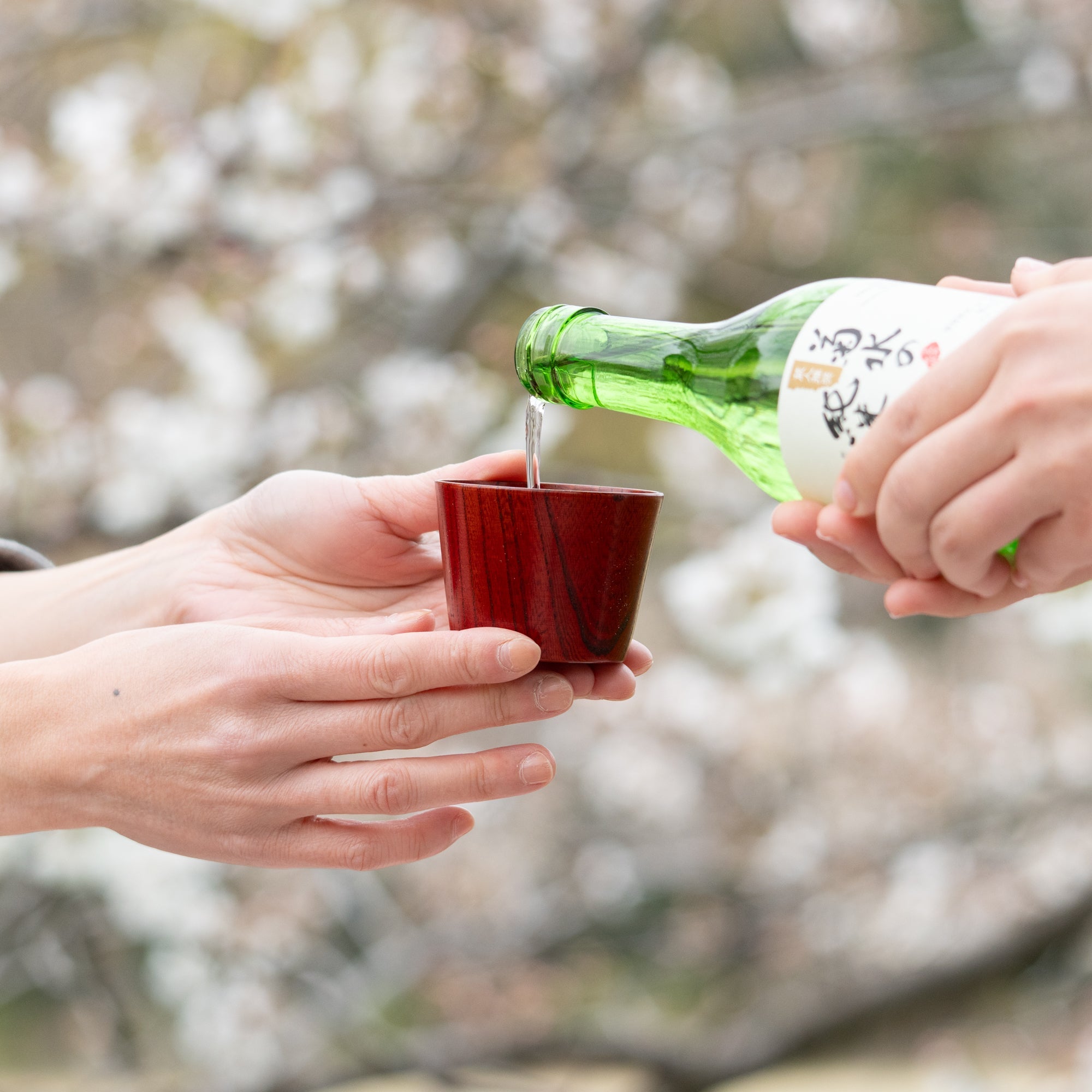 Musubi Kiln Portable Zelkova Guinomi Sake Cup Set