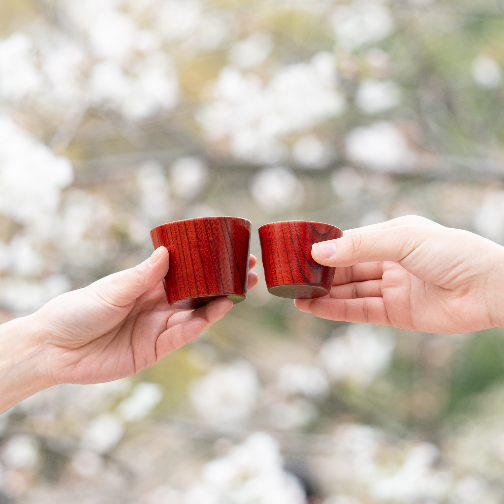 Musubi Kiln Portable Zelkova Guinomi Sake Cup Set