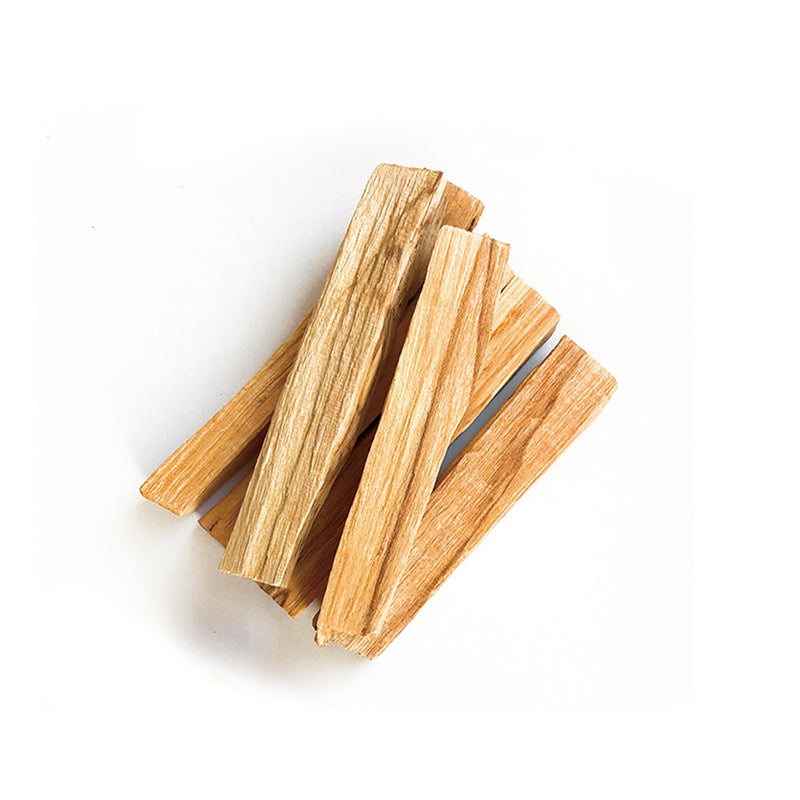 Nippon Kodo CHIE - Purification Incense Powder 30g