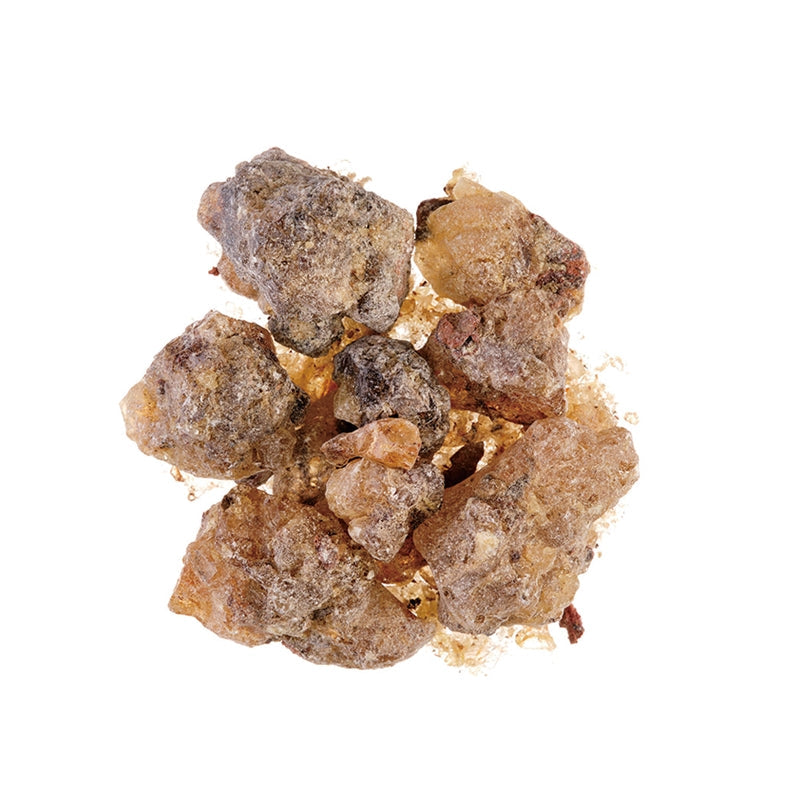 Nippon Kodo CHIE - Meditation Incense Powder 30g