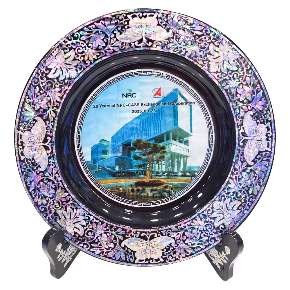 Korean Porcelain Plate - Dragon - view 7
