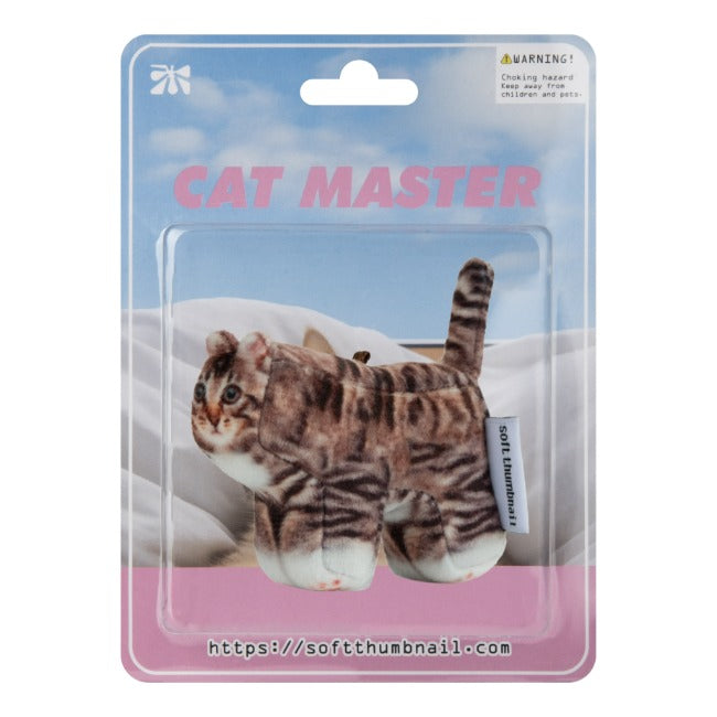 Inside Object Keyring — Chovy, Domestic Shorthair
