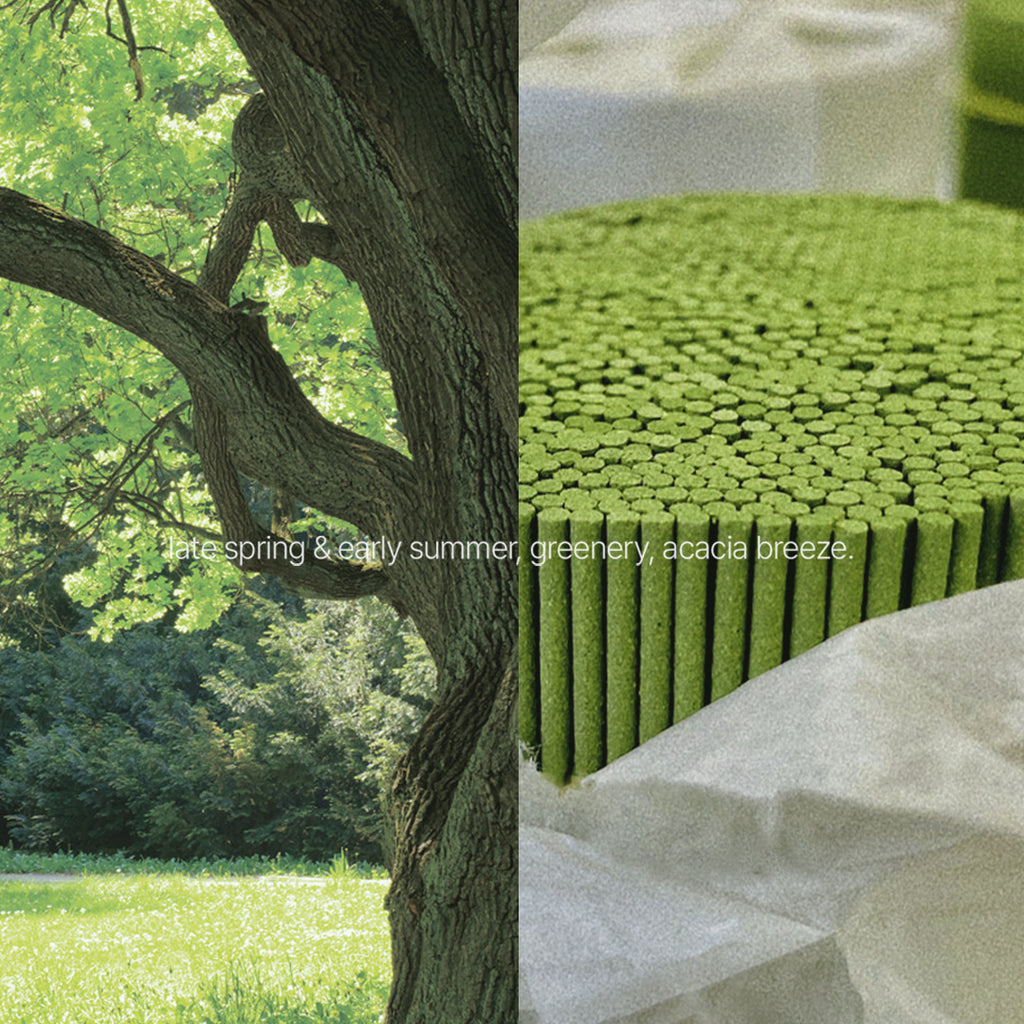 Acacia Forest Incense Sticks