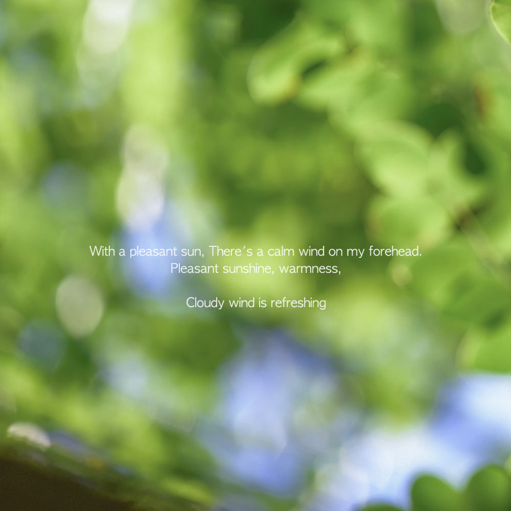 Acacia Forest Incense Sticks - view 4