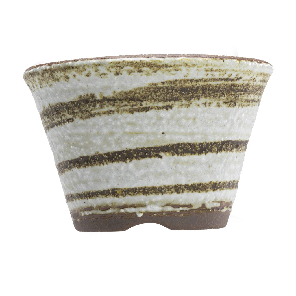 Wazakura [ Banko Series ] Small Rounded Bonsai Pot 4.3" (110mm) Brush White