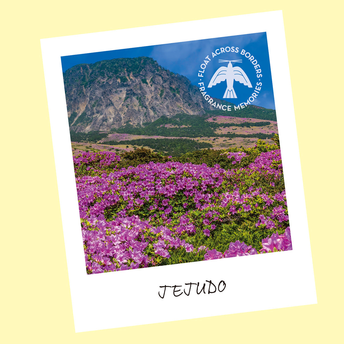 Nippon Kodo FRAGRANCE MEMORIES - FM 01 Jejudo Field / South Korea 15 sticks (Peony, Gardenia, Camellia)
