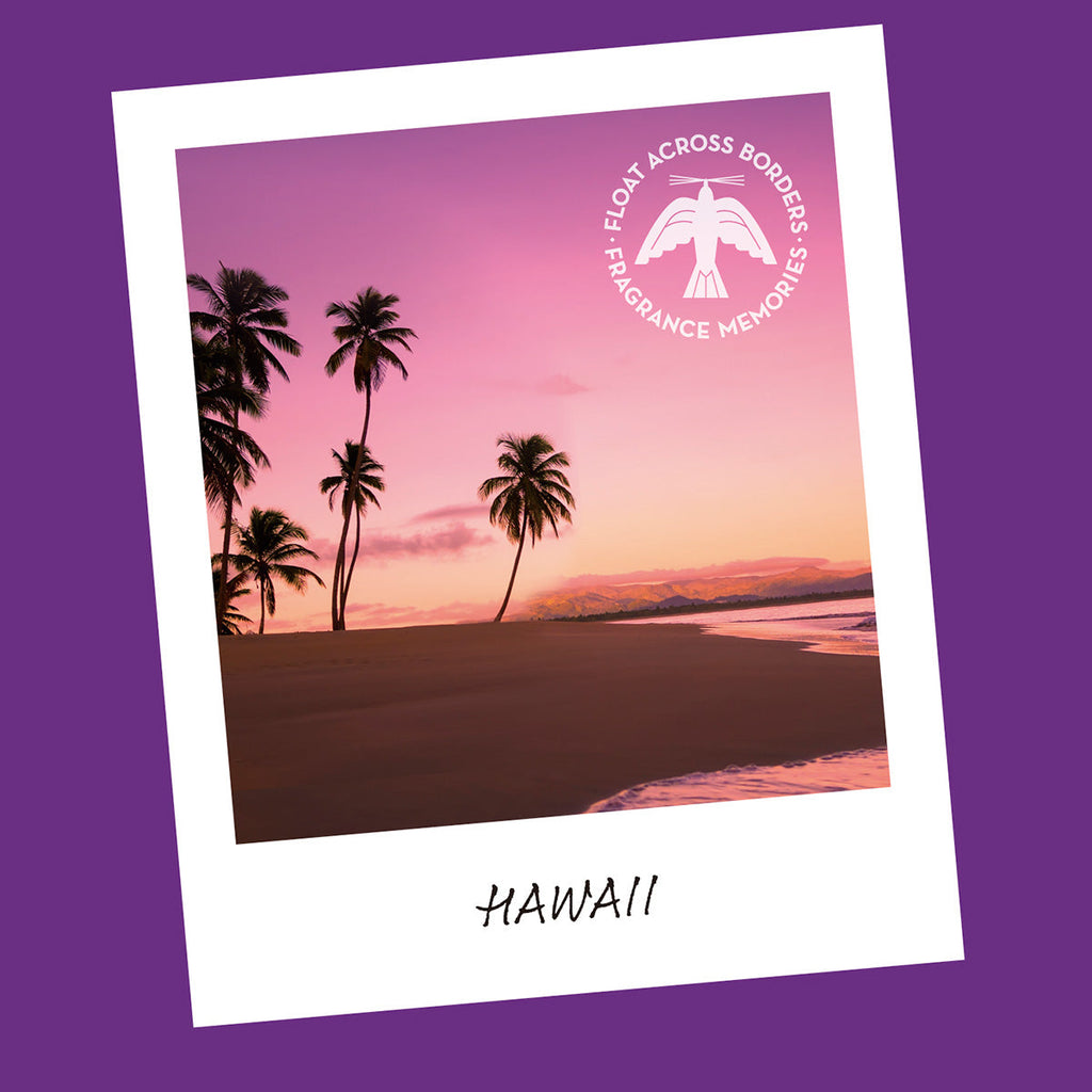 Nippon Kodo FRAGRANCE MEMORIES - FM 03 Hawaii Sunset / United States 15 sticks (Plumeria, Pikake, Coconut)