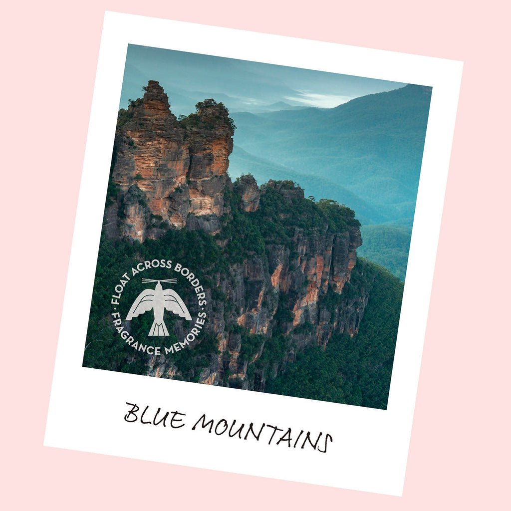 Nippon Kodo FRAGRANCE MEMORIES - FM 10 Eucalyptus Mountains / Australia 15 sticks (Eucalyptus, Blackcurrant, Cedar)
