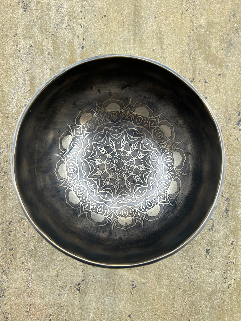 The Wayfinder Bowl: 6 inch | Collector's Edition - view 7