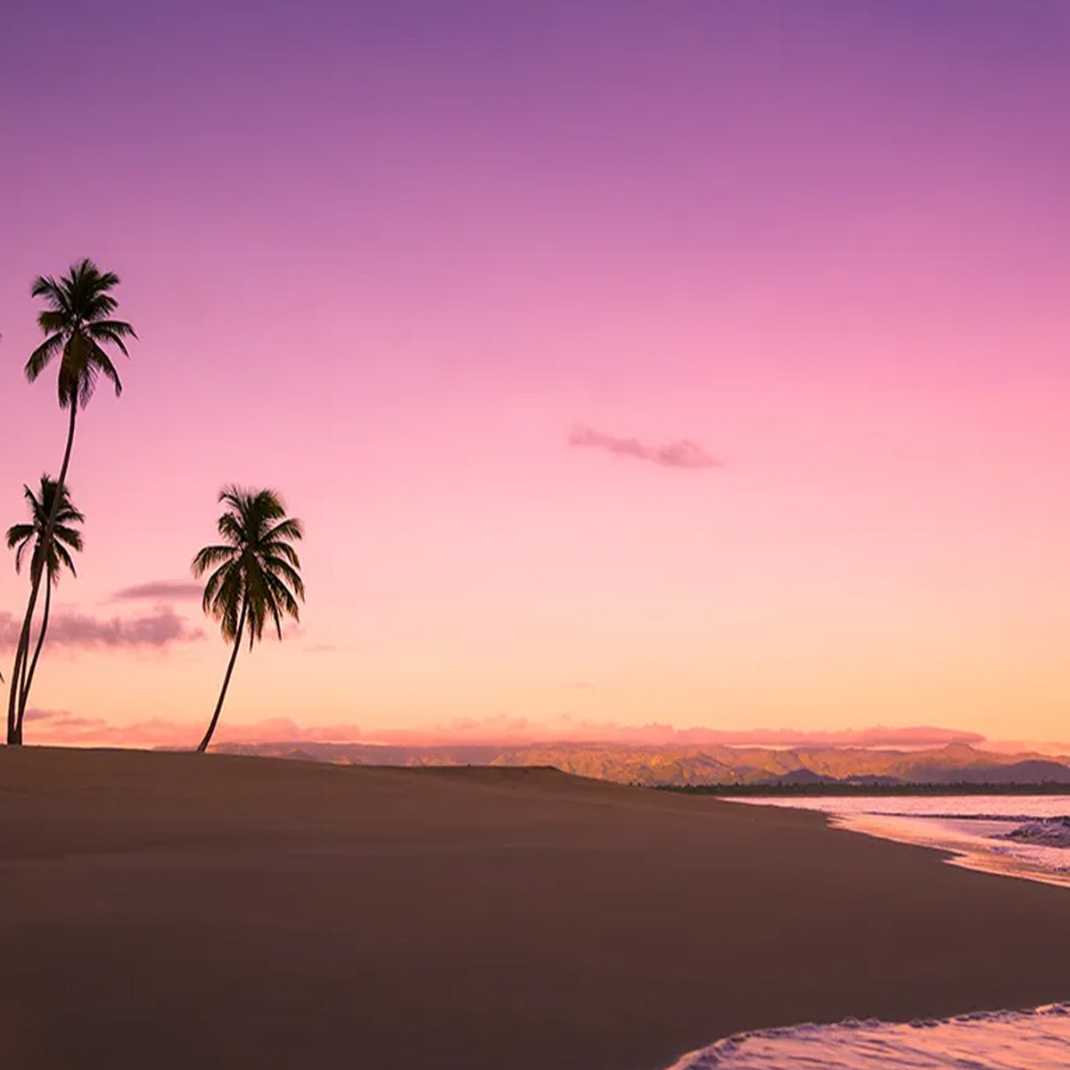 Nippon Kodo FRAGRANCE MEMORIES - FM 03 Hawaii Sunset / United States 15 sticks (Plumeria, Pikake, Coconut)