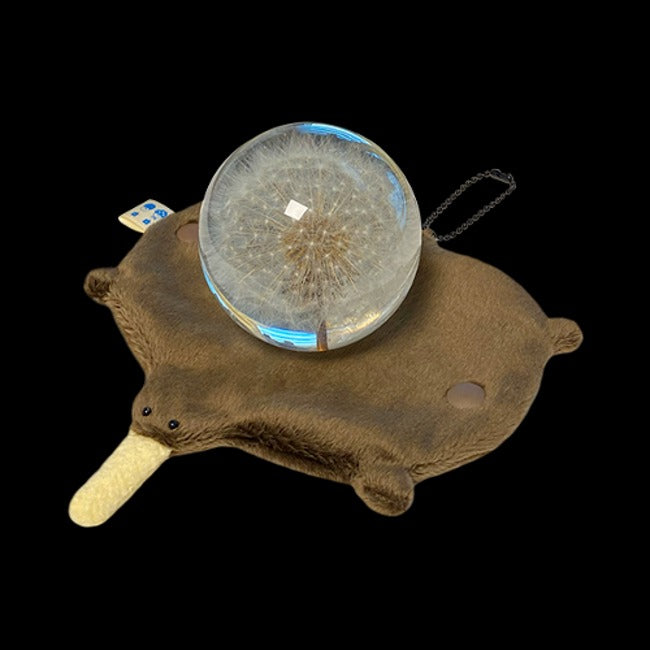Inside Object Keyring — 키위새 코스터 인형키링
