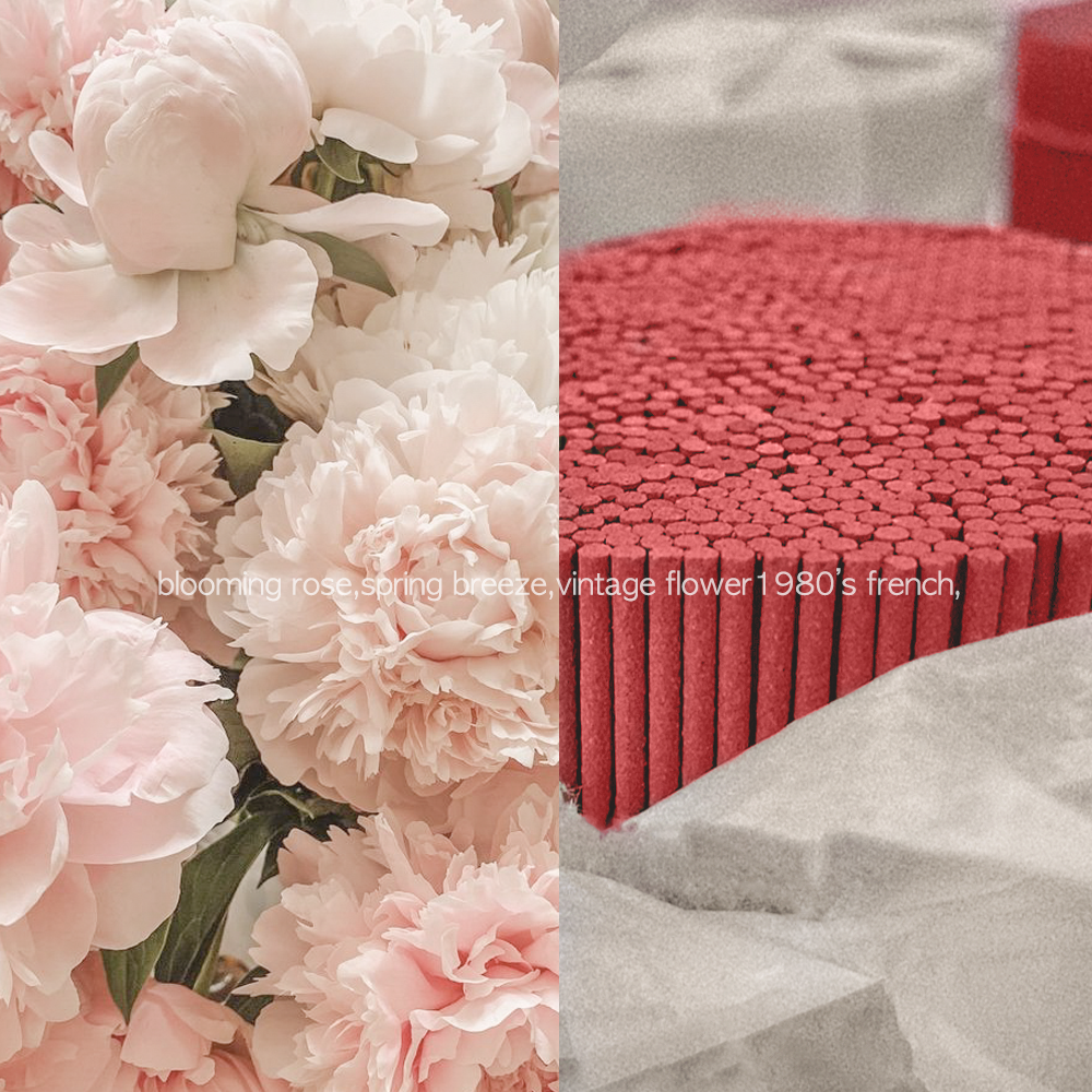 Blooming Rose Incense Sticks