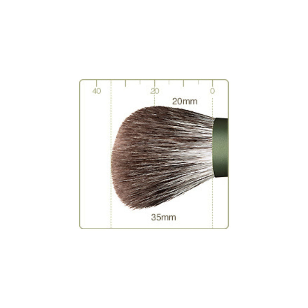 Chikuhodo FO-4 Cheek/ Highlight, FO Series - view 2