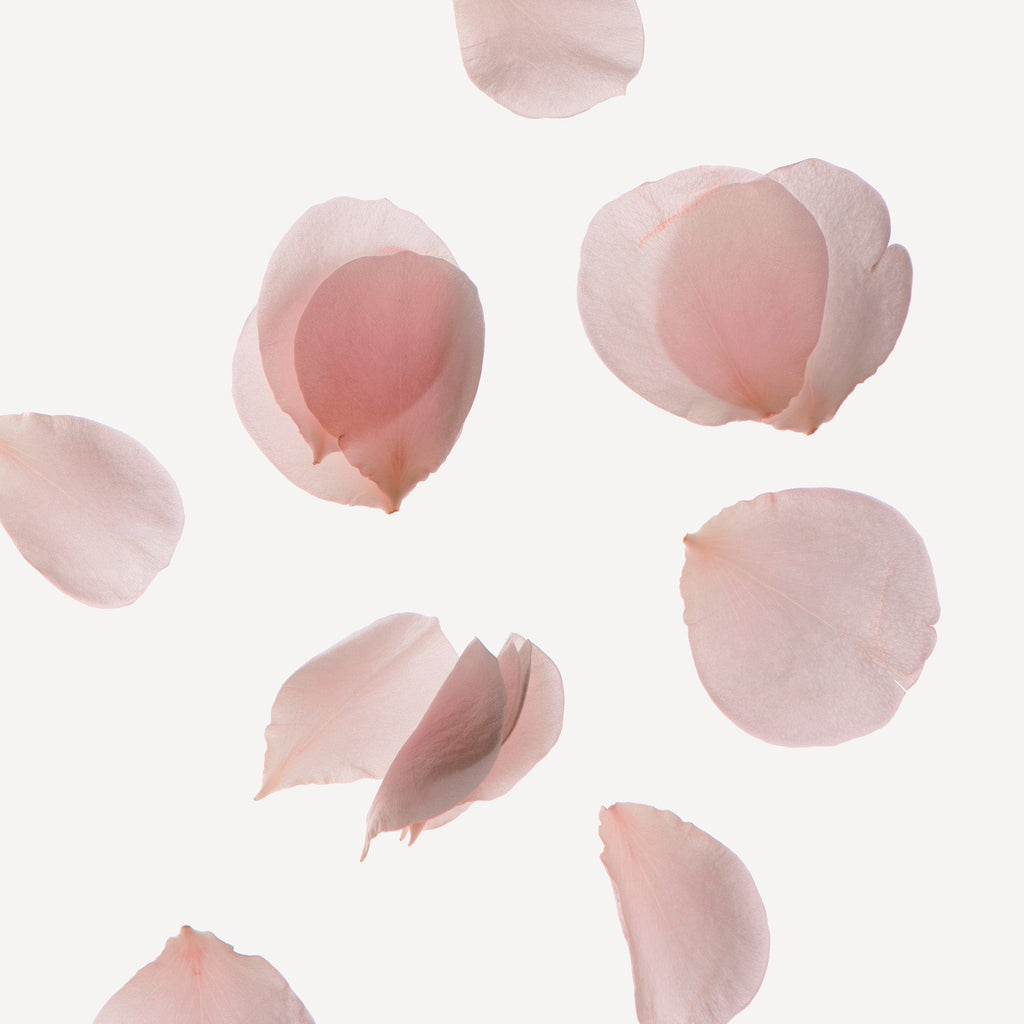 Nonfiction ROSE PALE Hair Serum Mist 100ml - view 4