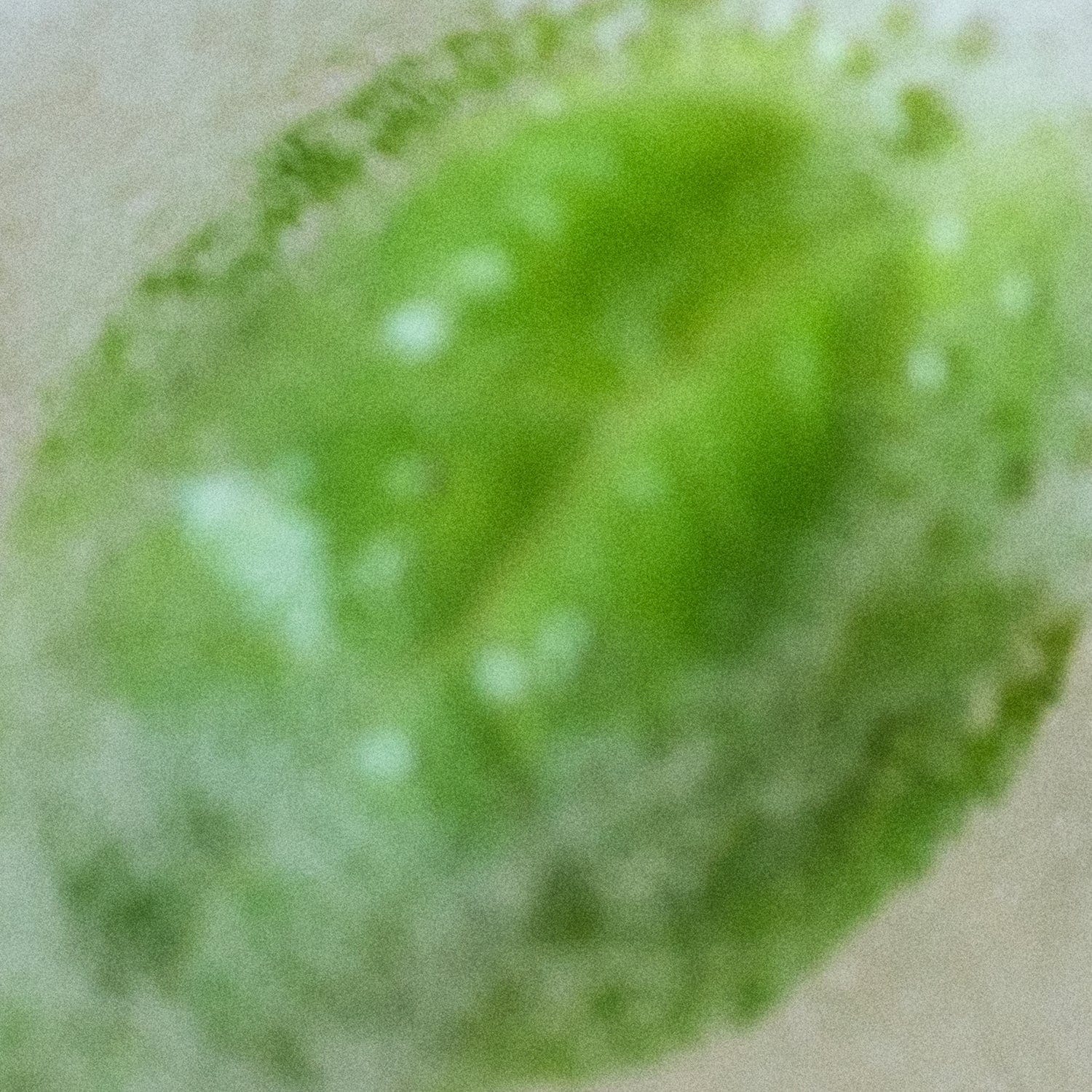 Nonfiction FORGET ME NOT Hand Cream - view 4