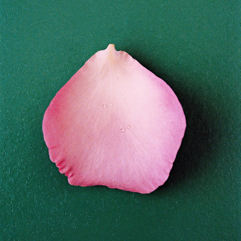 Nonfiction THE ROSE Eau de Parfum - view 5