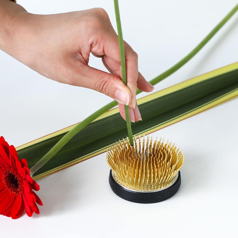 Wazakura 2.5"(62mm) Radial-Shaped Ikebana Kenzan
