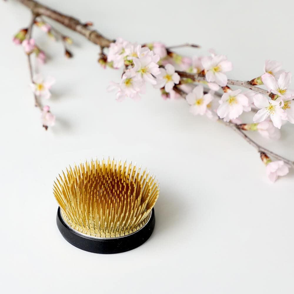 Wazakura 2.5"(62mm) Radial-Shaped Ikebana Kenzan