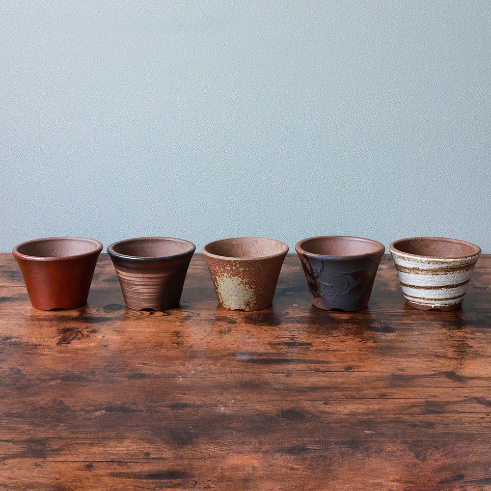 Wazakura [ Banko Series ] Small Rounded Bonsai Pot 4.3" (110mm) Red Clay