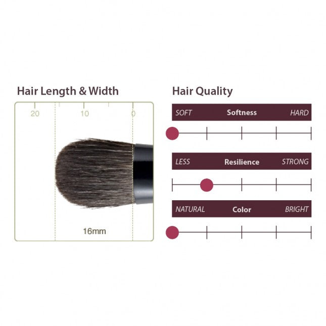 Chikuhodo Z-5 Eyeshadow Brush, Z Series